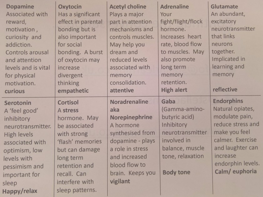 Brain related hormones, triggers and impact